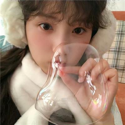 山上的松树